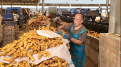 十余年的立异成长